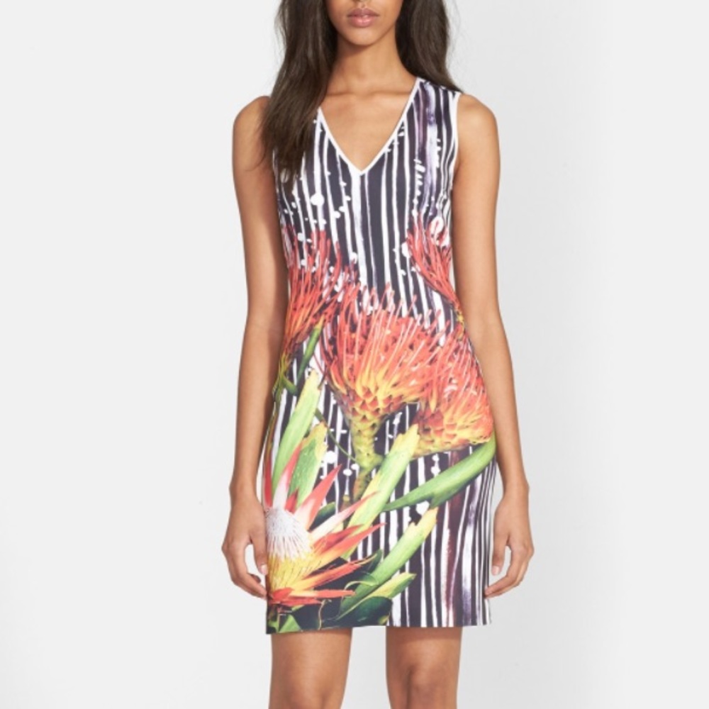 Clover Canyon Brush Stroke Bloom Protea Floral Print Dress